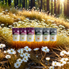 All Day Slimming Tea -3 Month Supply - 40% OFF