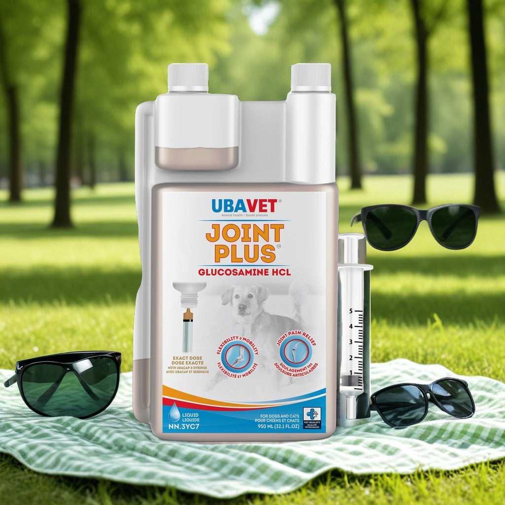 Joint Plus