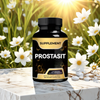 Prostasit